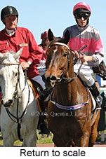 Return to scale (16492 bytes)