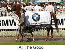 All The Good (16193 bytes)