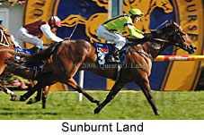 Sunburnt Land (16193 bytes)