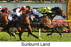 Sunburnt Land (16193 bytes)