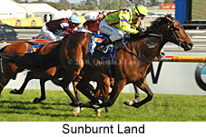 Sunburnt Land (16193 bytes)