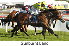 Sunburnt Land (16193 bytes)