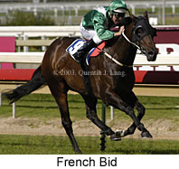 French Bid (15739 bytes)