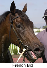 French Bid (11283 bytes)