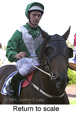 Return to scale (12447 bytes)