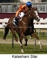 Kalashani Star (14673 bytes)