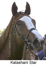 Kalashani Star (9966 bytes)