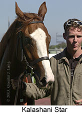 Kalashani Star (12603 bytes)