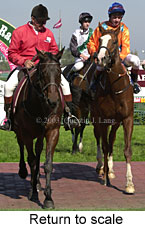 Return to scale (15555 bytes)