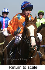 Return to scale (14708 bytes)