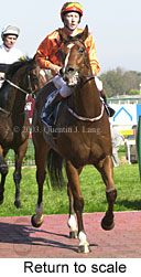 Return to scale (14619 bytes)