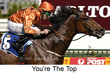 You're The Top (16631 bytes)