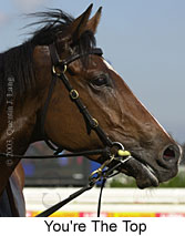 You're The Top (11421 bytes)