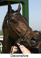 Devonshire (12047 bytes)