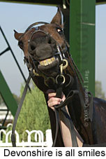 Devonshire (12419 bytes)