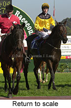 Return to scale (14991 bytes)