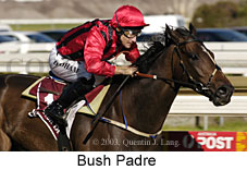 Bush Padre (15255 bytes)