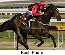 Bush Padre (16266 bytes)