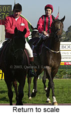 Return to scale (13667 bytes)