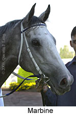 Marbine (10572 bytes)