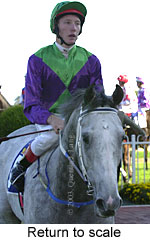 Return to scale (13654 bytes)