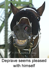 Deprave (12574 bytes)