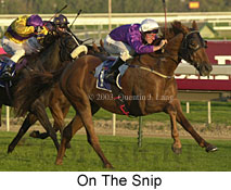 On The Snip (16321 bytes)