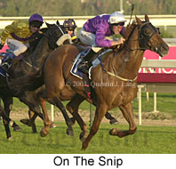 On The Snip (16768 bytes)