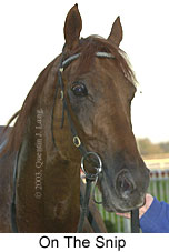 On The Snip (9327 bytes)