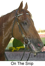 On The Snip (10531 bytes)