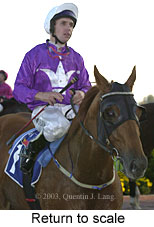 Return to scale (12225 bytes)