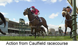 Caulfield (15218 bytes)