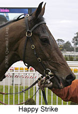 Happy Strike (13591 bytes)
