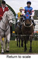 Return to scale (15138 bytes)