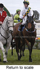 Return to scale (14111 bytes)