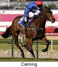 Calming (18081 bytes)