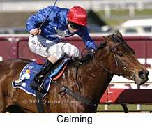 Calming (17136 bytes)