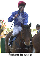 Return to scale (11979 bytes)