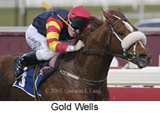 Gold Wells (13048 bytes)