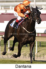 Dantana (14995 bytes)