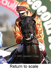 Return to scale (15682 bytes)