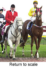 Return to scale (15885 bytes)