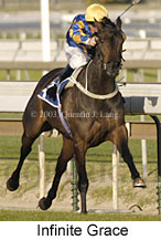 Infinite Grace (13896 bytes)
