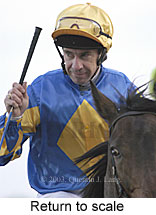 Return to scale (12615 bytes)