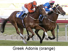 Greek Adonis (16052 bytes)