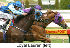 Loyal Lauren (17358 bytes)