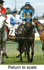 Return to scale (16137 bytes)