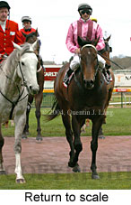 Return to scale (14138 bytes)