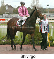 Shivirgo (15239 bytes)