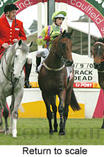 Return to scale (16817 bytes)